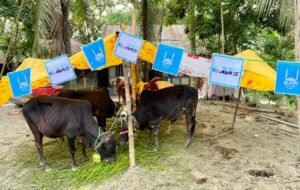 AVAS and Islamic Relief Bangladesh Support 1,400 Manta and Slum Dweller Families Ahead of Eid-ul-Adha